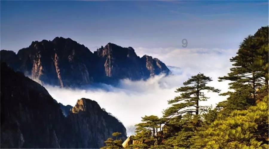 活期理财最受年轻人追捧,余额宝90后持仓者占四成